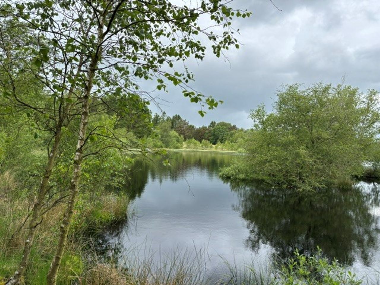image 01